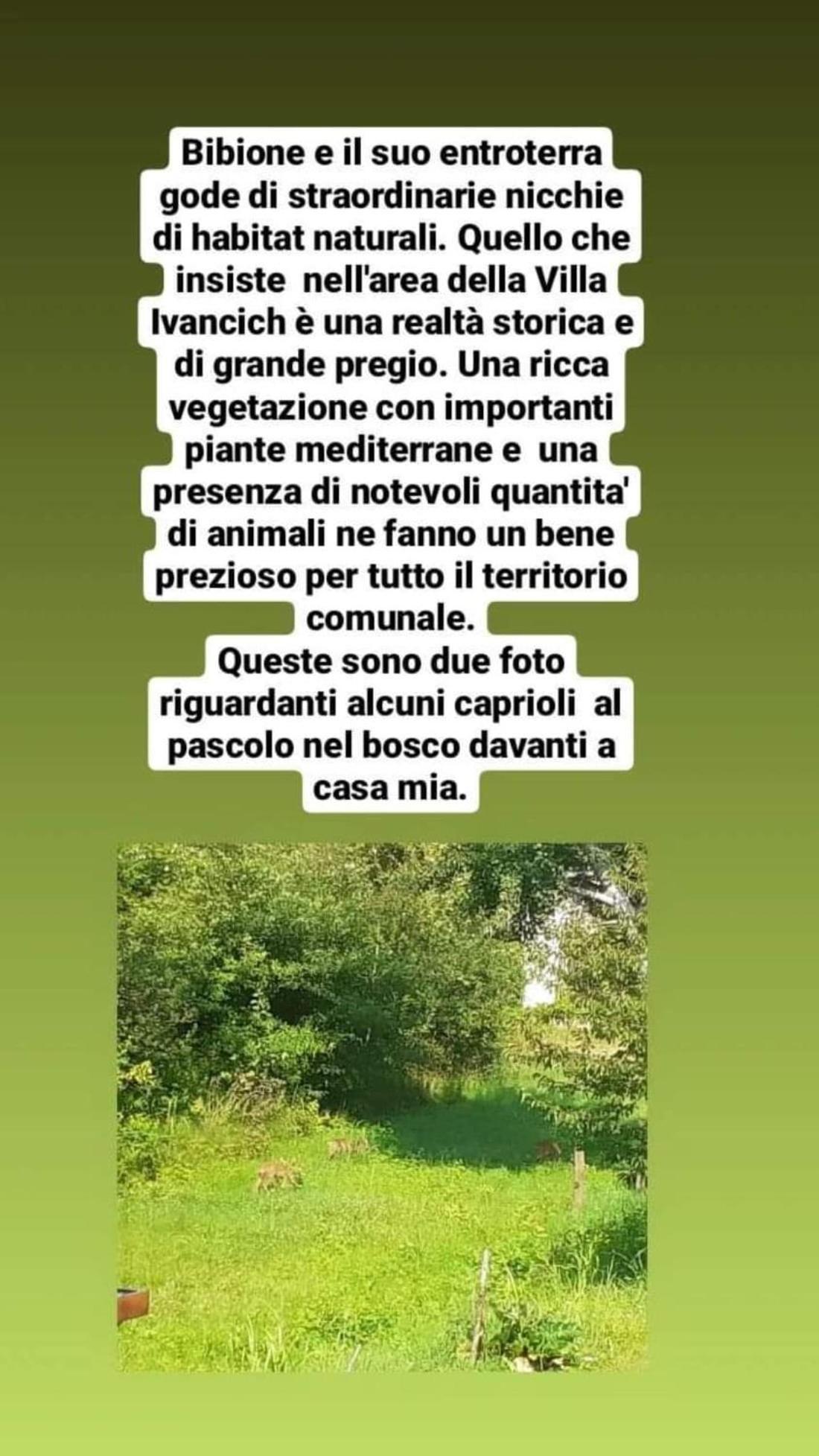 B&B Casa di Chiara San Michele al Tagliamento Esterno foto